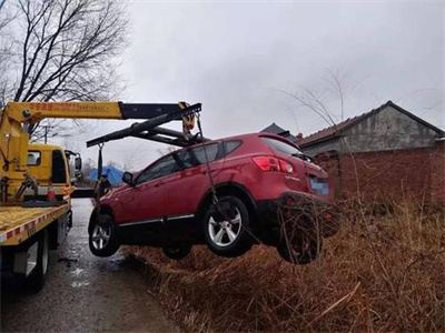 巨野楚雄道路救援